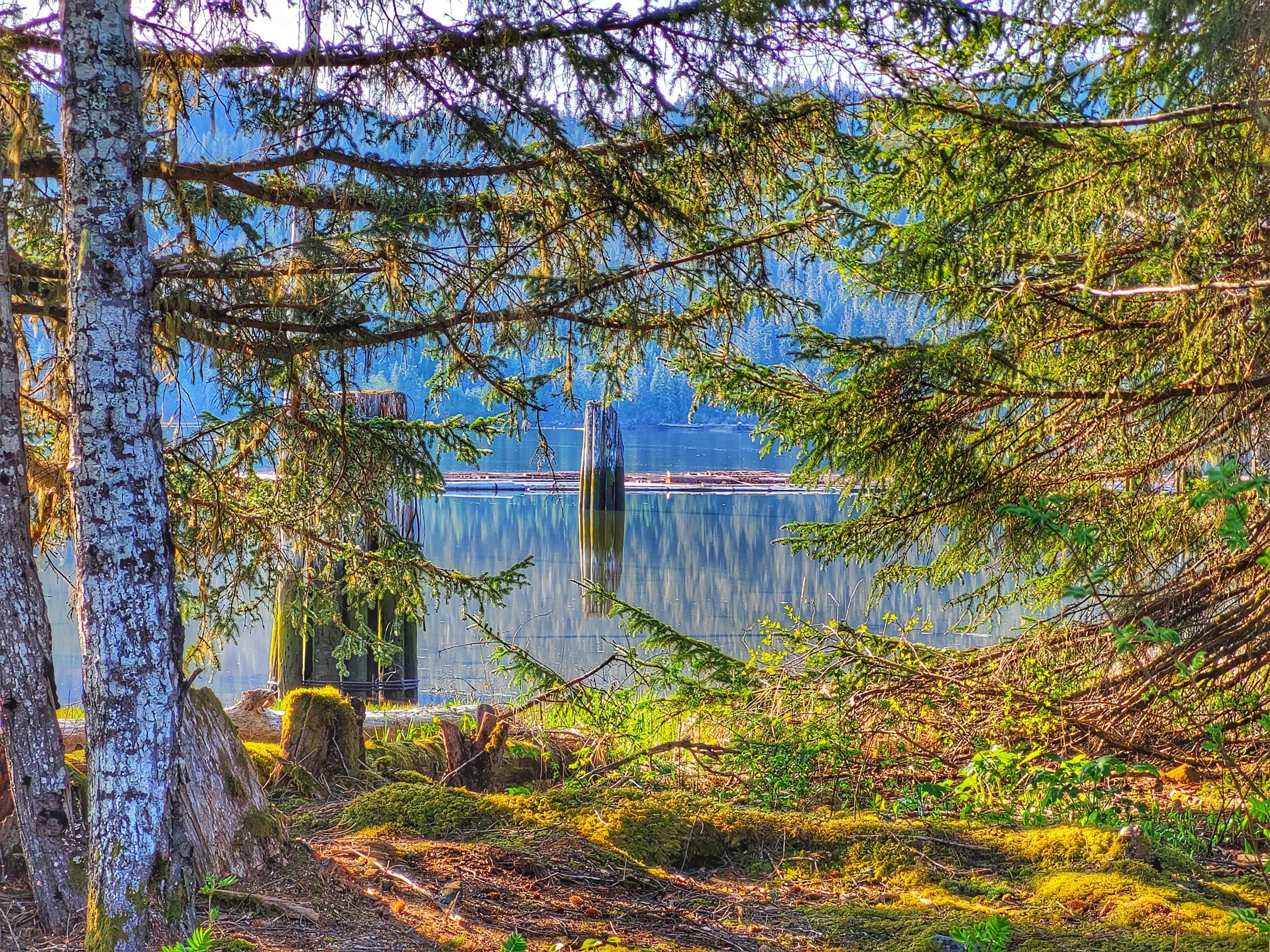 Kitimat's Economic Development Strategy | Get Involved Kitimat